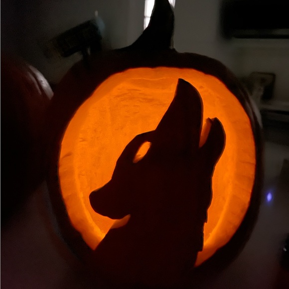 ‼️Spend 50$+ and get a free gift!🎁 Happy Holidays! Thank you for stopping buy 🥰! - Picture 6 of 13